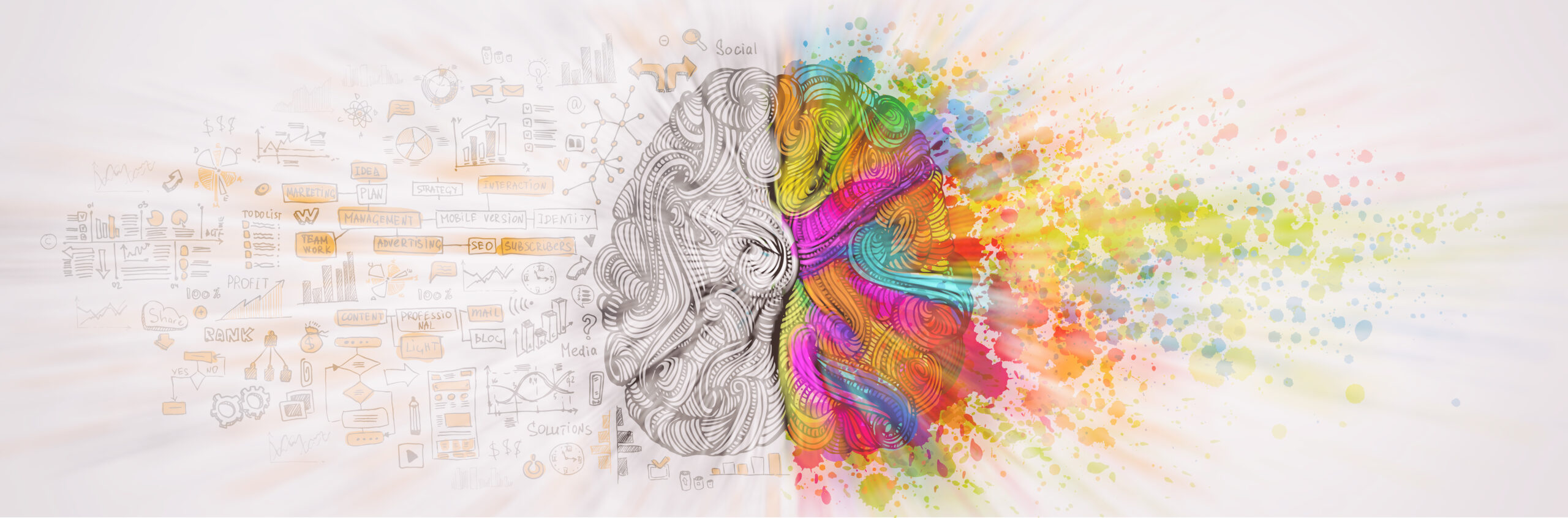 Left right human brain concept, textured illustration. Creative left and right part of human brain, emotial and logic parts concept with social and business doodle illustration of left side, and art paint splashes of the right side